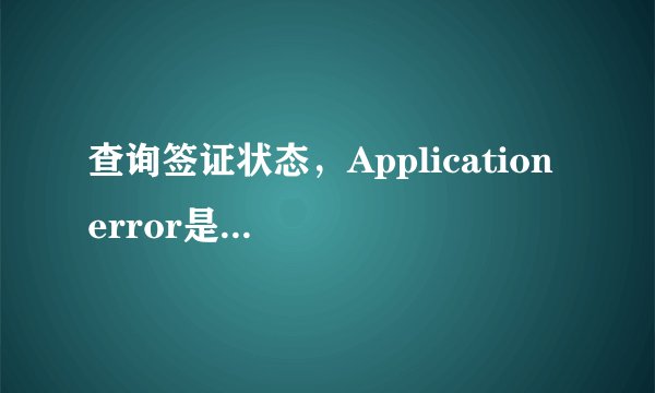查询签证状态，Application error是什么意思