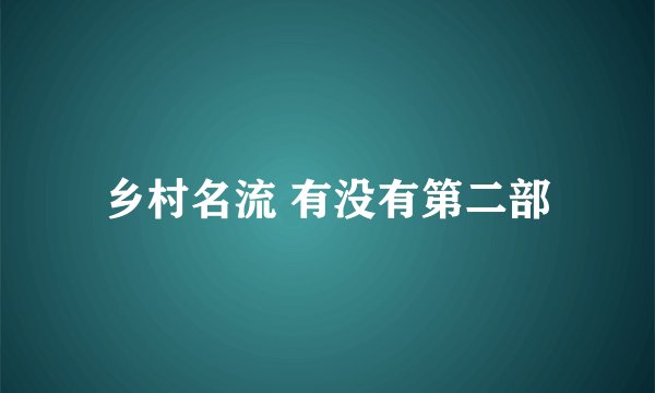 乡村名流 有没有第二部