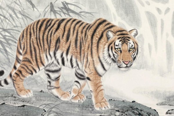 传为笑谈指什么肖