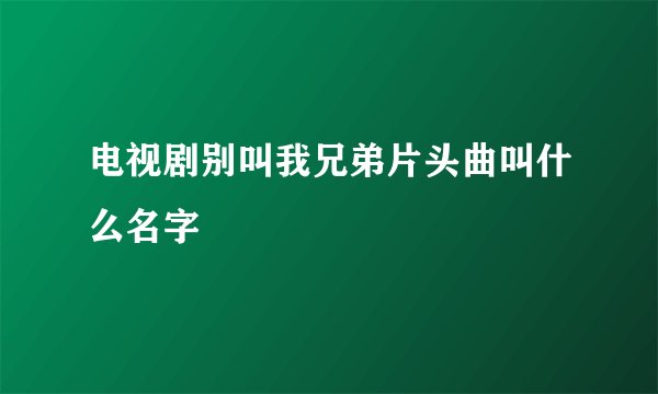 电视剧别叫我兄弟片头曲叫什么名字