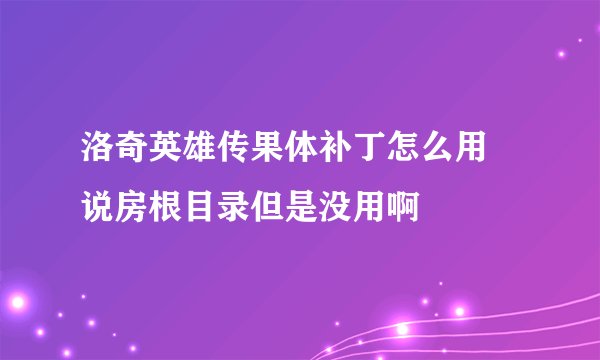 洛奇英雄传果体补丁怎么用 说房根目录但是没用啊