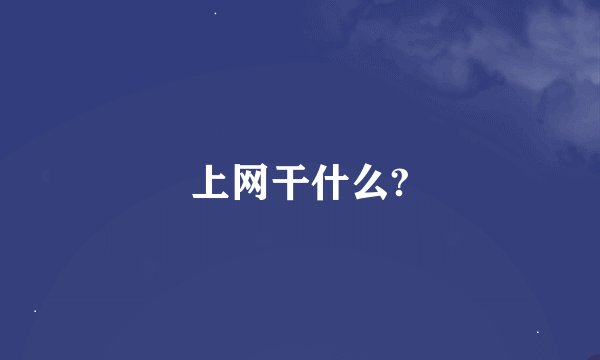 上网干什么?