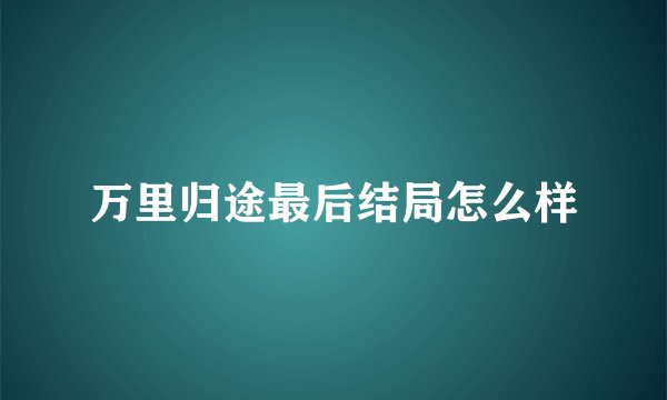 万里归途最后结局怎么样
