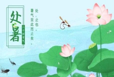 暑的组词和部首