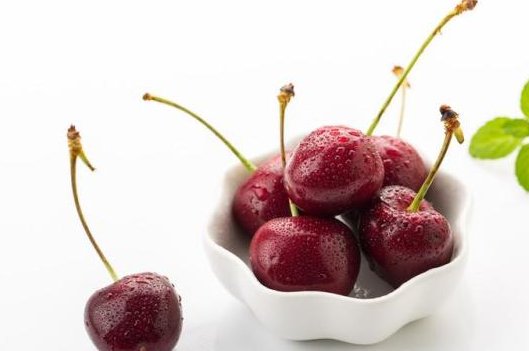 桑缇娜和拉宾斯哪种好