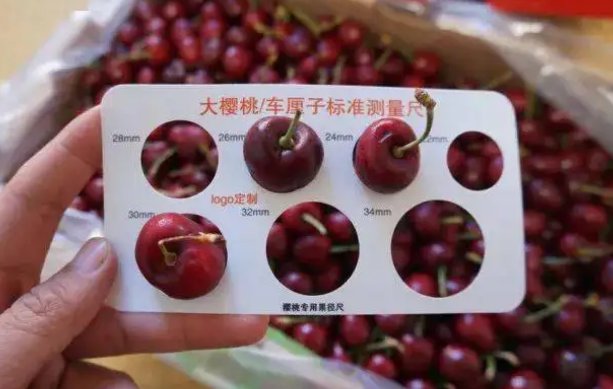 车厘子3j是多大?