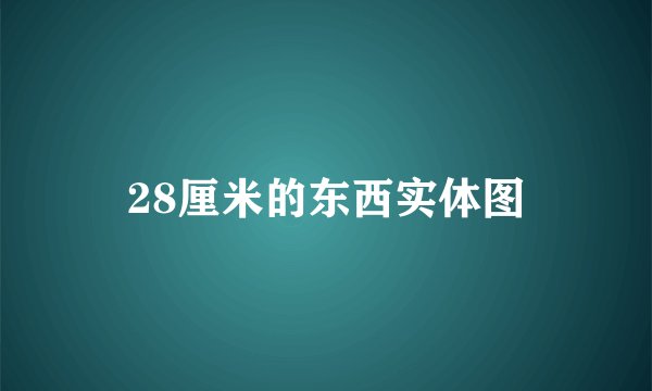 28厘米的东西实体图