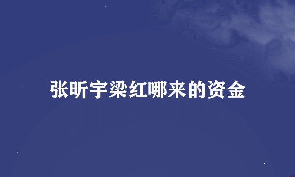 张昕宇梁红哪来的资金