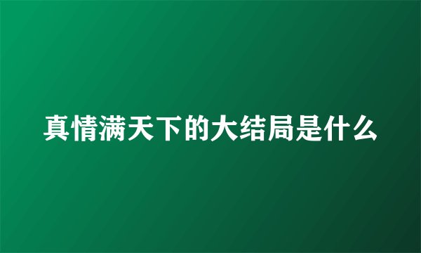 真情满天下的大结局是什么