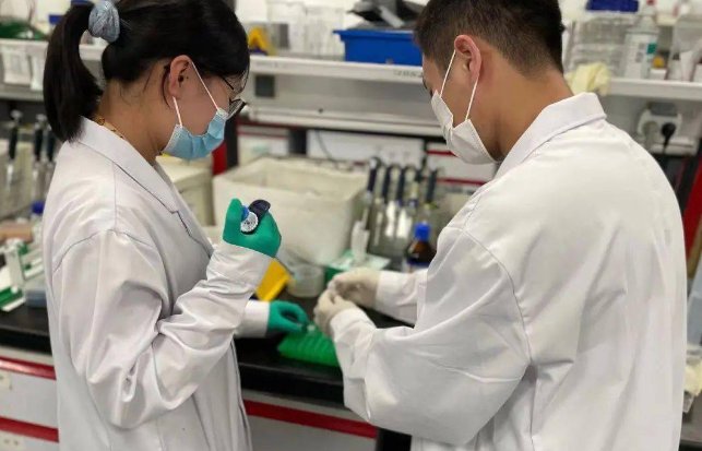 我国紧缺的12类人才