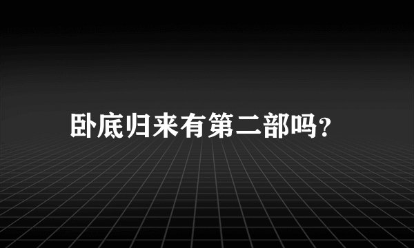 卧底归来有第二部吗？