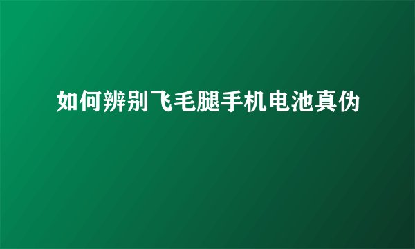 如何辨别飞毛腿手机电池真伪