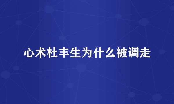 心术杜丰生为什么被调走