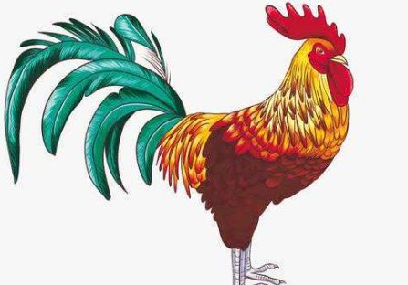 聚精会神的动物是指什么生肖