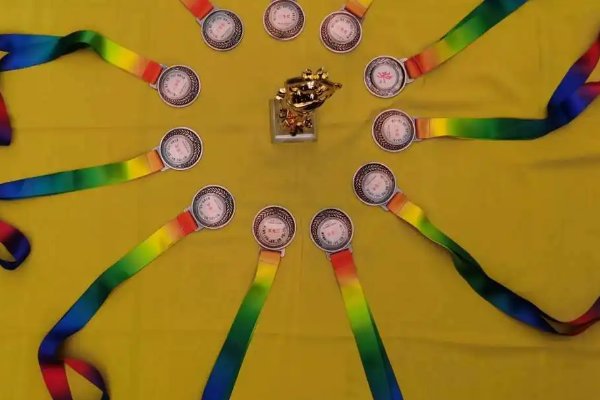 金光闪闪造句子二年级