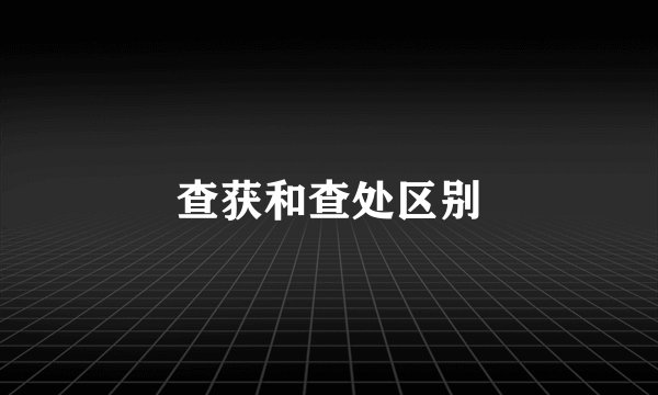 查获和查处区别