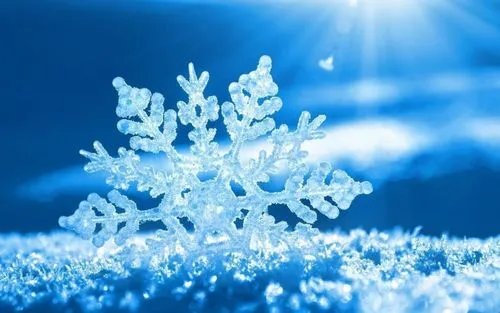 雪花雪花开在阳光下是什么歌?