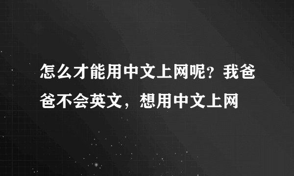 怎么才能用中文上网呢？我爸爸不会英文，想用中文上网