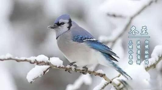 冬至暖和有什么说法 关于冬至的俗语有很多