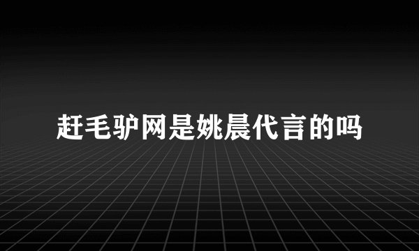 赶毛驴网是姚晨代言的吗