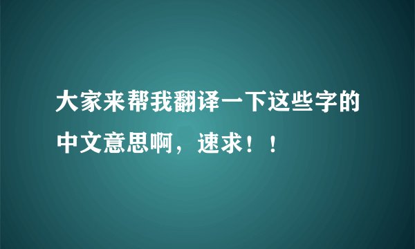大家来帮我翻译一下这些字的中文意思啊，速求！！