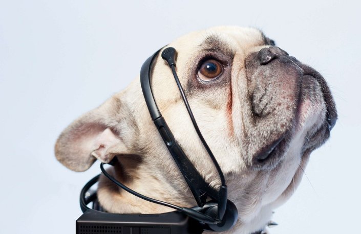 落花流水是何肖