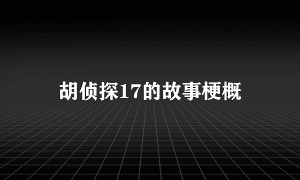 胡侦探17的故事梗概