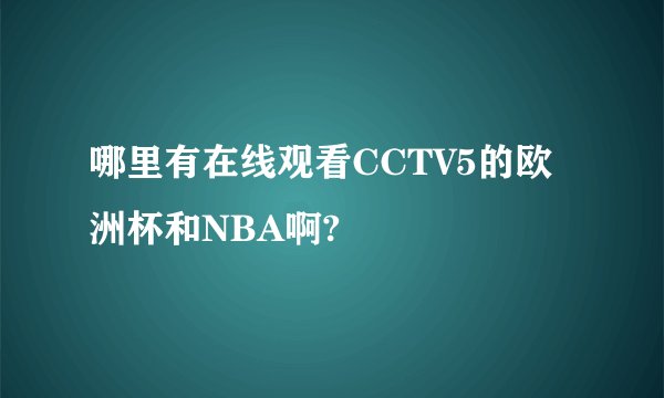哪里有在线观看CCTV5的欧洲杯和NBA啊?