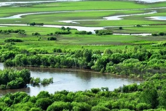 生态系统的稳定性是指什么