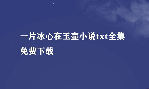 一片冰心在玉壶小说txt全集免费下载