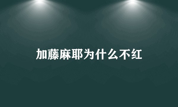 加藤麻耶为什么不红