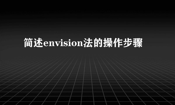 简述envision法的操作步骤