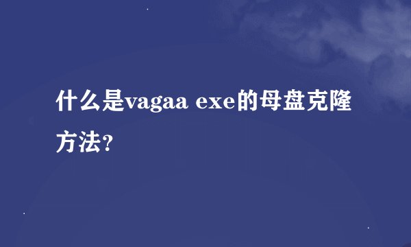 什么是vagaa exe的母盘克隆方法？