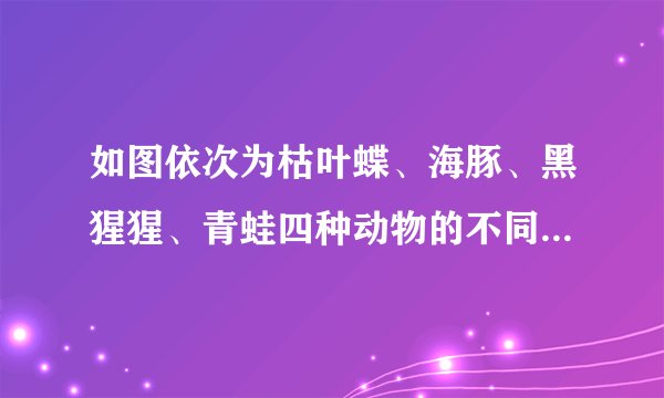 如图依次为枯叶蝶、海豚、黑猩猩、青蛙四种动物的不同行为，请据图回答：（1）图①所示的是枯叶蝶的_____