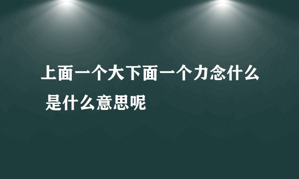 上面一个大下面一个力念什么 是什么意思呢
