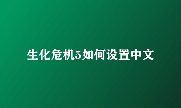 生化危机5如何设置中文