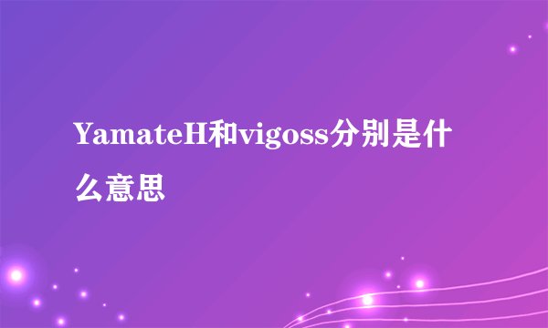 YamateH和vigoss分别是什么意思