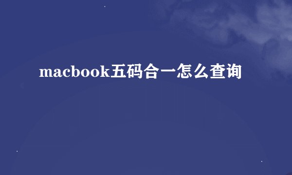 macbook五码合一怎么查询