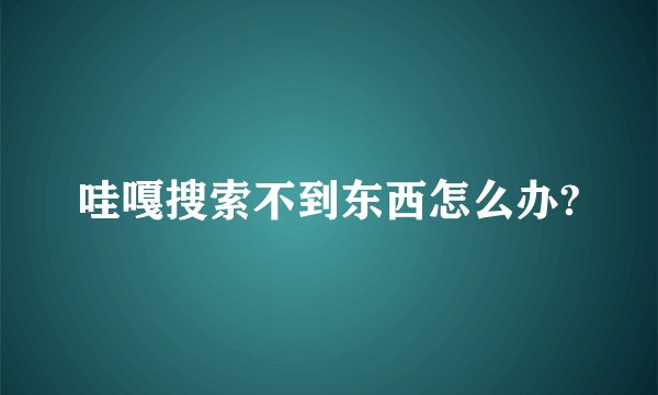 哇嘎搜索不到东西怎么办?