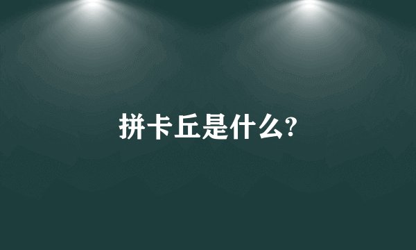 拼卡丘是什么?