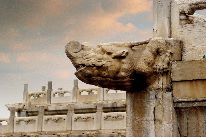 10月怀胎打一生肖