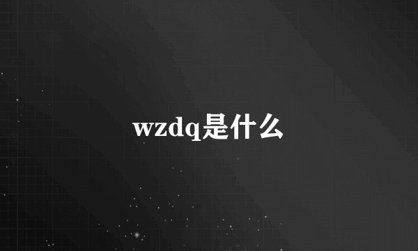 wzdq是什么