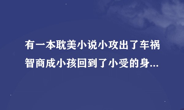 有一本耽美小说小攻出了车祸智商成小孩回到了小受的身边，小受以前就很喜欢小攻，小攻叫小受秋秋，小受的