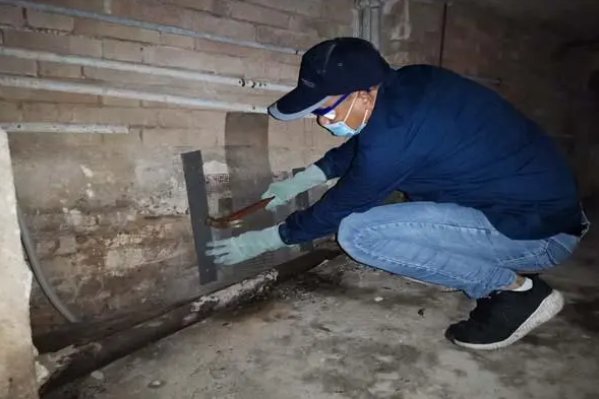 灭白蚁哪家公司好