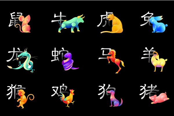 寸步不离是什么生肖