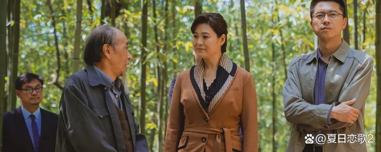 花开山乡电视剧剧情介绍