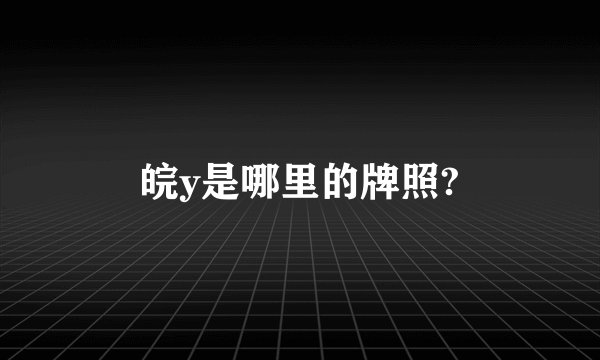 皖y是哪里的牌照?