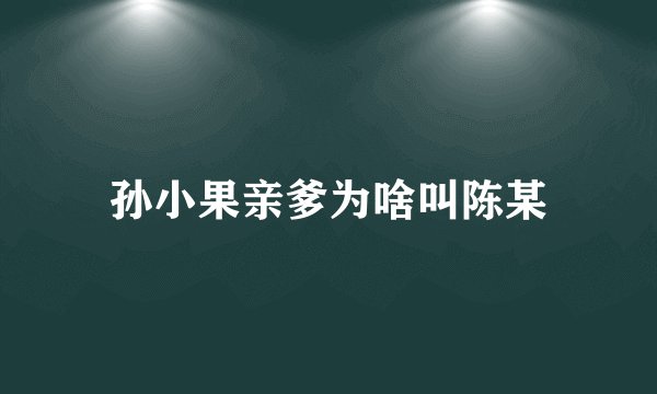 孙小果亲爹为啥叫陈某