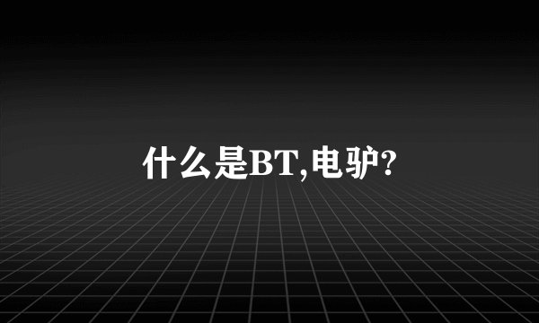 什么是BT,电驴?