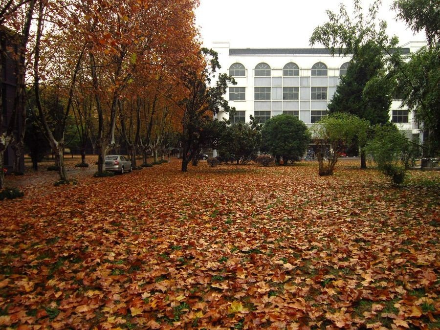 扬州大学各校区面积